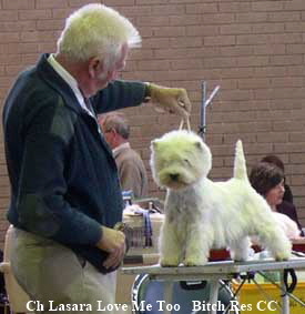 2003   Lasara Love Me Too