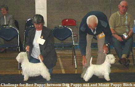 2003 BP