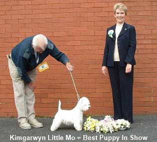 2003 Kimgarwyn Little Mo BP