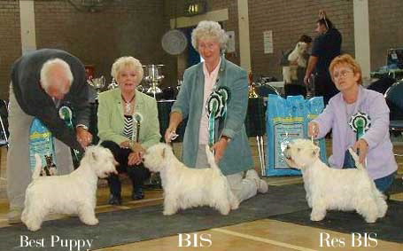 2004  BIS