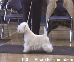 2005 BIS-2