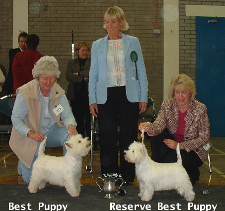 2005 BPD & BPB