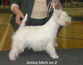 2005 JB