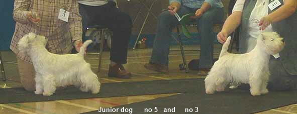2005 JD -2