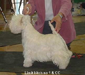 2005 LB1