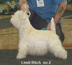 2005 LB2