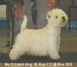 2005 LD