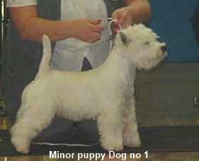 2005 MPD