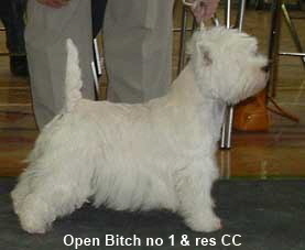 2005 OB1