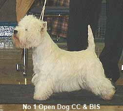 2005 OD1