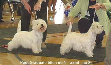 2005 PGB