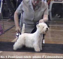 2005 PGB1