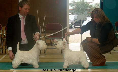 2006 rbis challenge