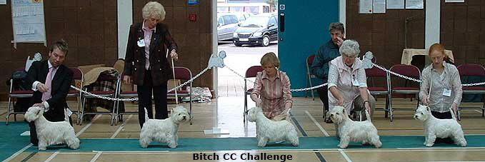 2006bitch challenge
