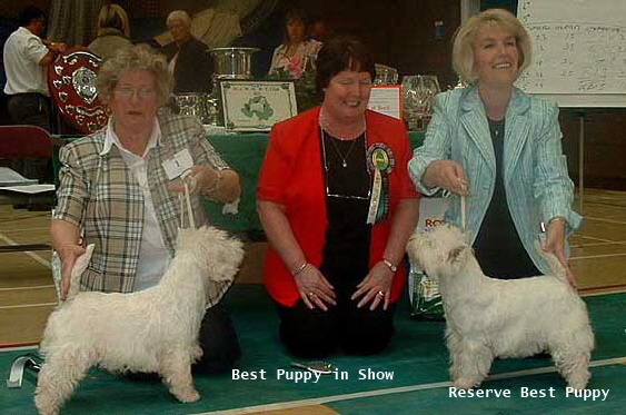2006bp