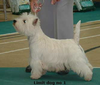 2006ld1