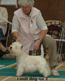 2006ld2