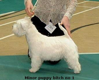 2006mpb