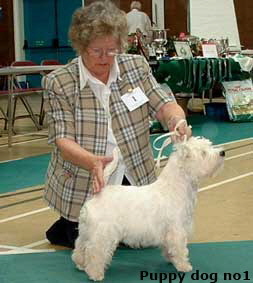 2006pd1