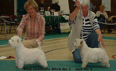 2006pgb