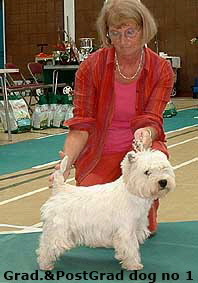 2006pgd1