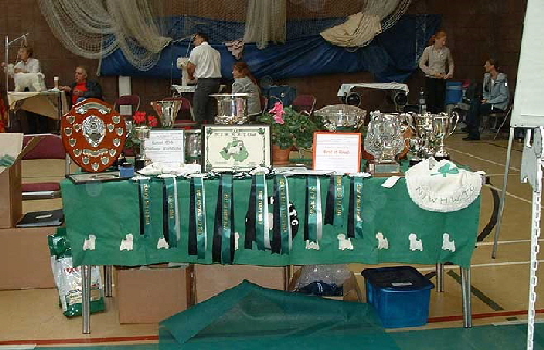 2006trophies