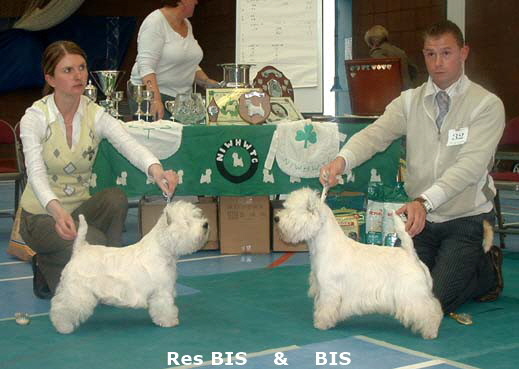 2007 BIS & RBIS