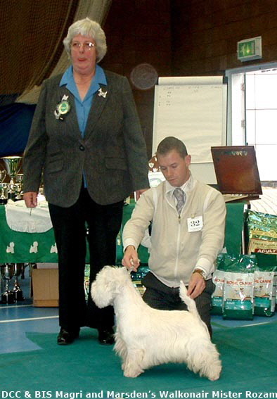 2007 BIS