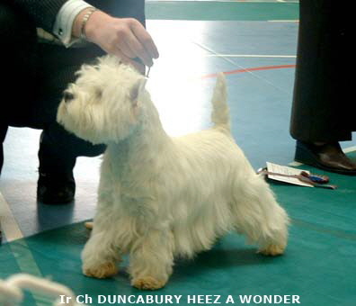 2007 Duncabury Heez A Wonder
