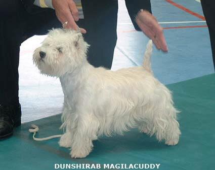 2007 Dunshirab Magilacuddy