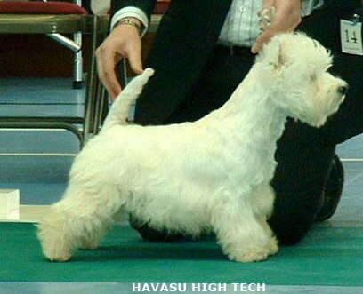 2007 Havaso High Tech