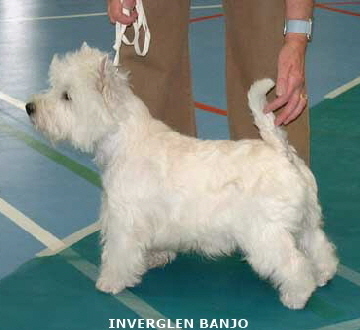2007 Inverglen Banjo