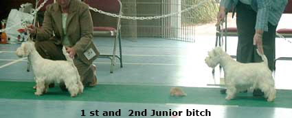 2007 JB
