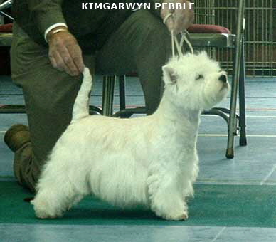 2007 Kimgarwyn Pebble