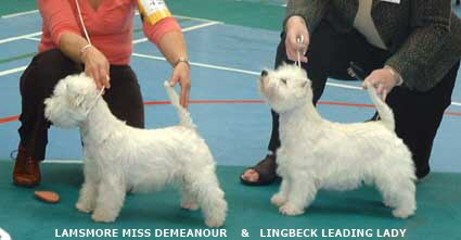 2007 Lamsmolre Mis Demeanou & Lingbeck Leading lady