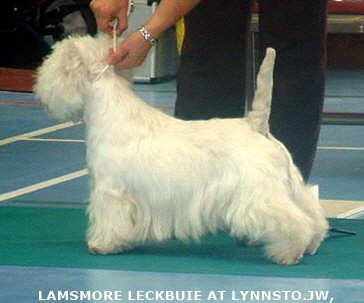 2007 Lamsmore Leckbuie