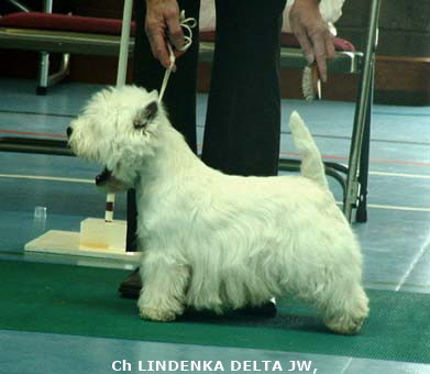 2007 Lindenka Delta