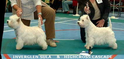 2007Inverglen Sula & Highcross Cascade