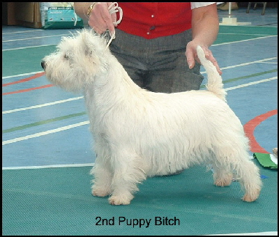 2008    2PB