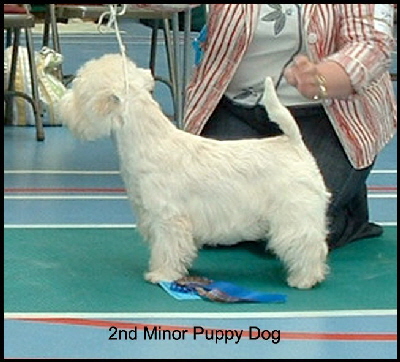 2008  2 MPD