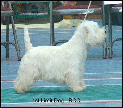 2008 1LD