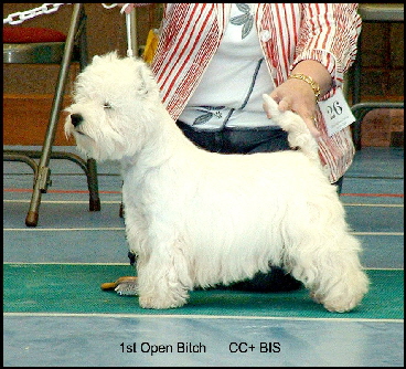 2008 1OB