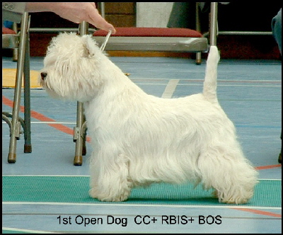 2008 1OD