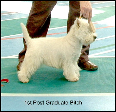 2008 1PGB