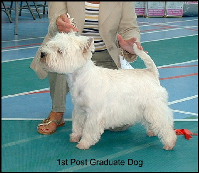 2008 1PGD