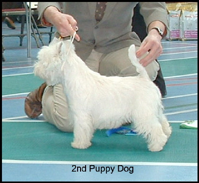 2008 2 PD