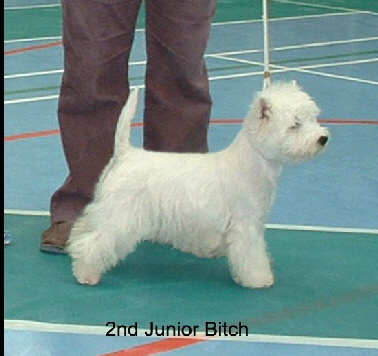 2008 2JB