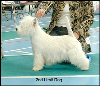 2008 2LD