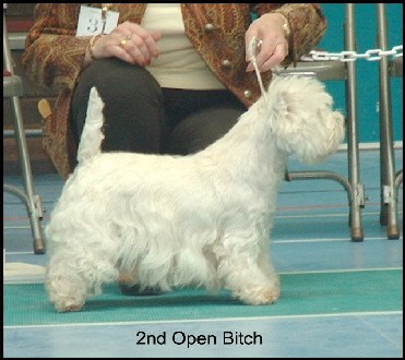 2008 2OB