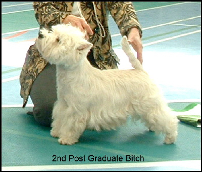 2008 2PGB
